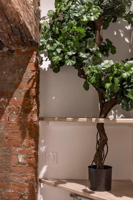 Le Saint-Georges Apartment Lyon Ngoại thất bức ảnh