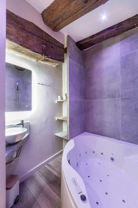 Le Saint-Georges Apartment Lyon Ngoại thất bức ảnh